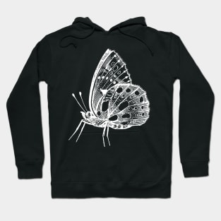 Dramabite Vintage butterfly illustration Hoodie